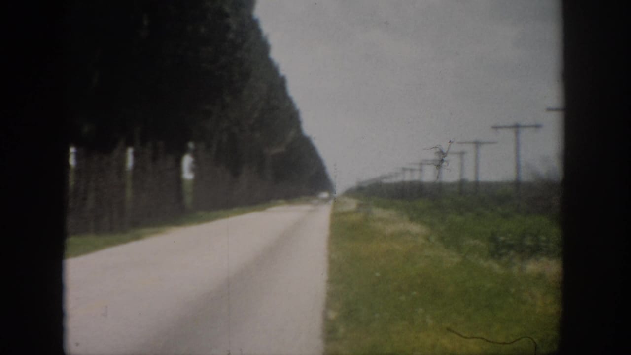 Road receding into the distance with trees on the left and utility poles on the right.