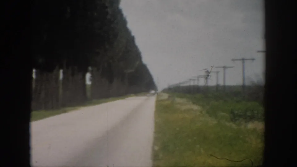 1959 Florida roadside view with a straight pale road, dense trees, grassy verge, and utility poles running parallel.