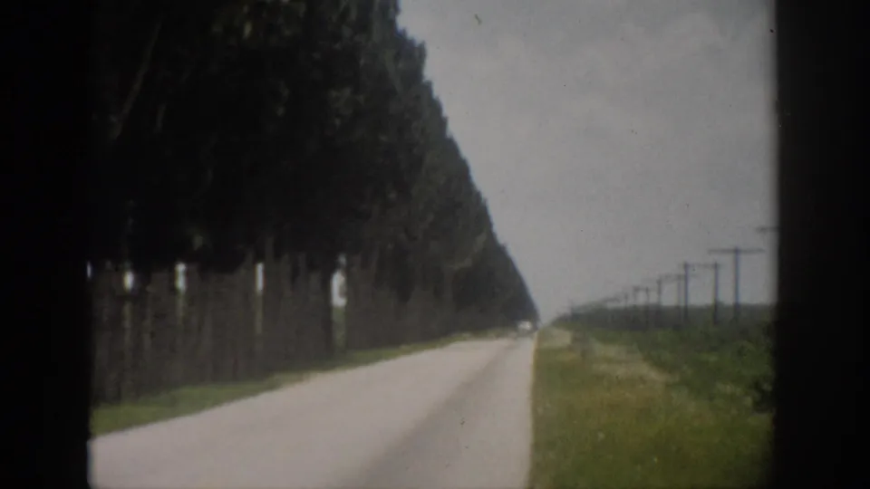 Florida 1959 8mm frame looking down a quiet rural road with trees to the left and poles across the right side.