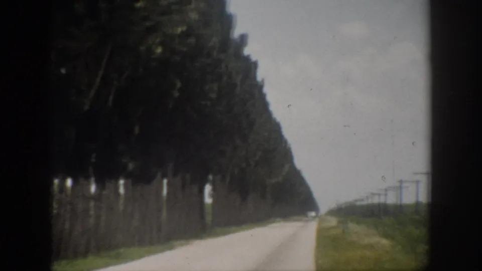End frame from 1959 Florida footage showing the road ahead, a heavy tree line, grassy edge, and utility poles beyond.