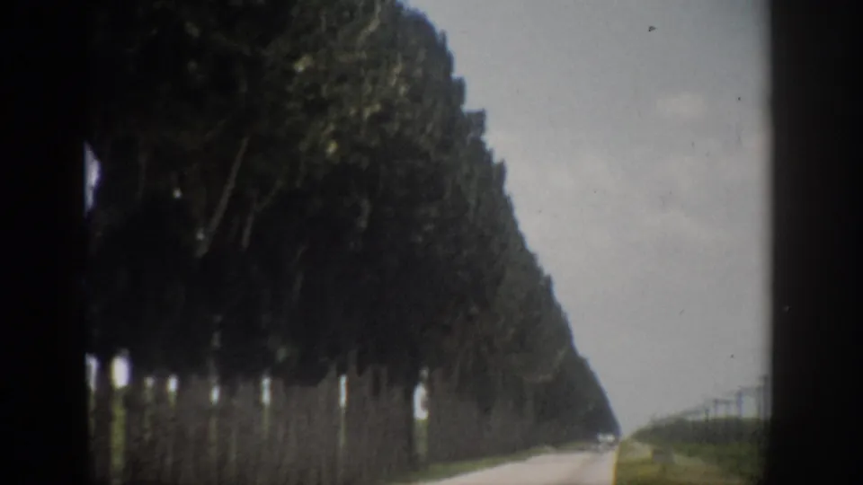 1959 Florida 8mm frame showing a straight rural road with tall trees along the left side and a pale overcast sky.