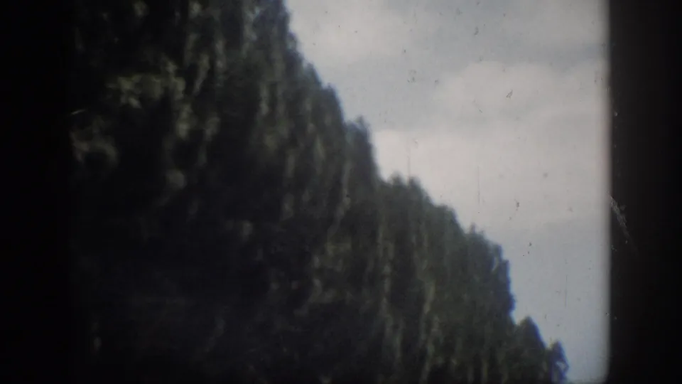 End frame of a 1959 Florida road scene, with a dark tree line, pale sky, and visible 8mm frame-edge vignetting.