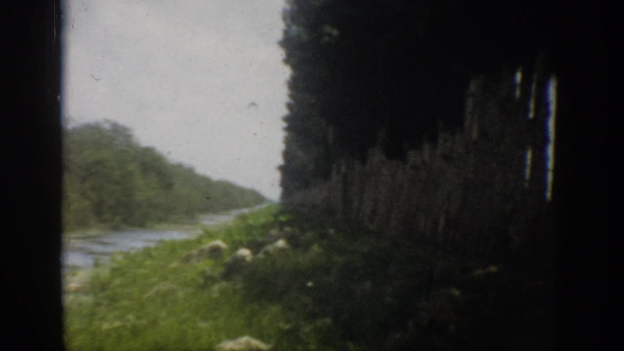 1959 Florida 8mm frame showing a river beside a grassy bank and dense trees, partially framed by a dark vehicle window.