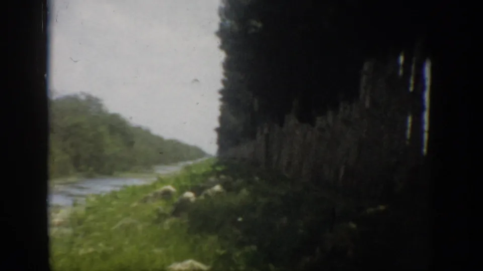 1959 Florida 8mm frame showing a river beside a grassy bank and dense trees, partially framed by a dark vehicle window.