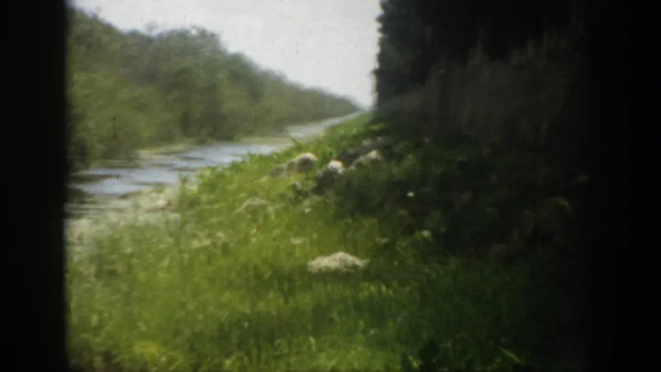 1959 Florida 8mm frame of a green riverbank and flowing water, with soft focus and a dark window edge from the moving vehicle.