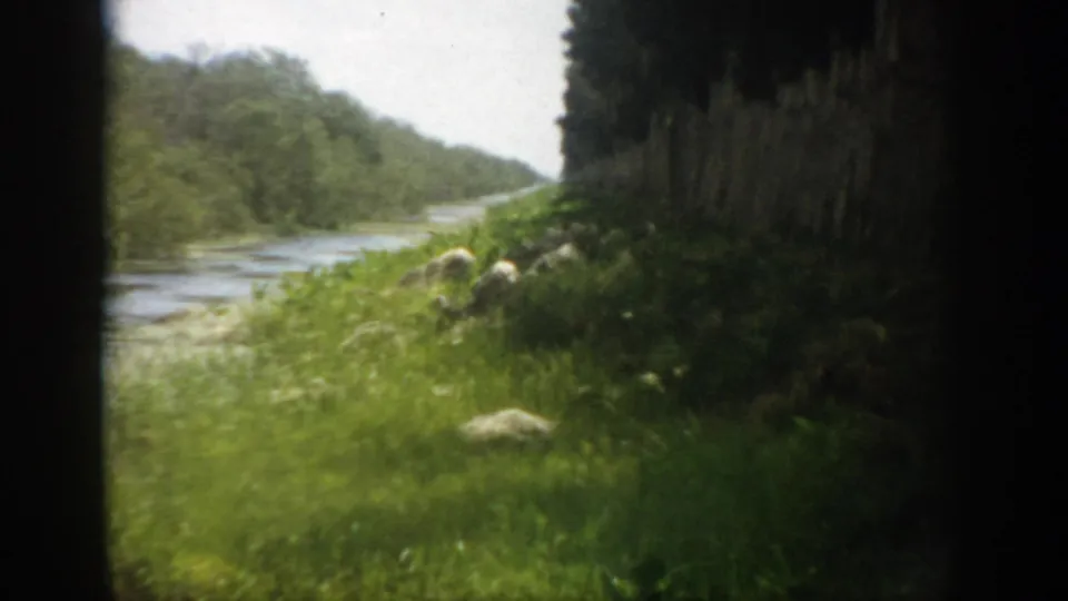 1959 Florida home-movie frame showing river water, lush grass, and a shadowed tree line from a moving vehicle viewpoint.