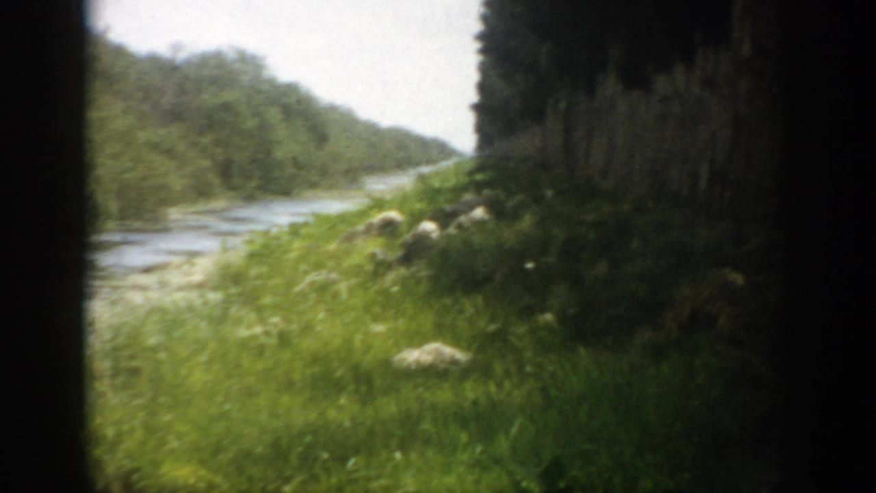 1959 Florida 8mm frame showing a grassy riverbank, calm water, and a shaded tree line in soft color.