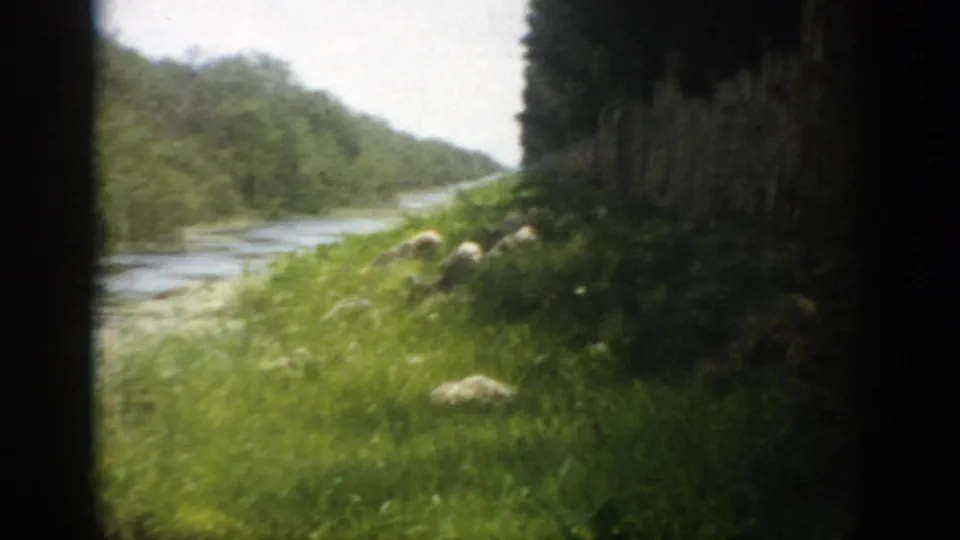 1959 Florida 8mm frame showing a grassy riverbank, calm water, and a shaded tree line in soft color.