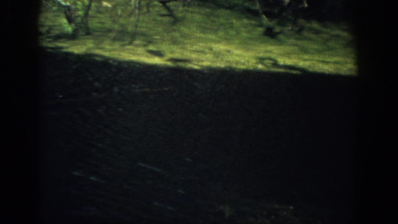 1959 Florida 8mm frame showing a shaded view outward toward grass and scattered trees, with strong darkness across the lower half.