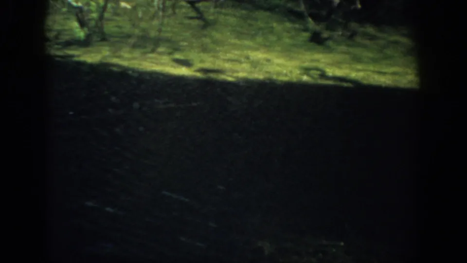 1959 Florida 8mm frame showing a shaded view outward toward grass and scattered trees, with strong darkness across the lower half.