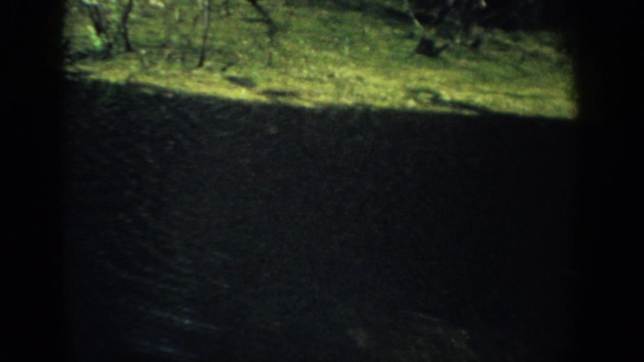 1959 Florida home-movie frame with a dark vertical divider and a narrow bright strip of grass and trees outside.