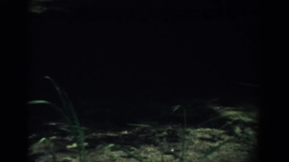 Underexposed 1959 Florida 8mm frame showing soil, small plants, and a shadowed view toward grass outside.