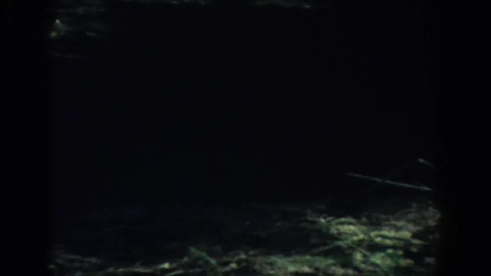 Underexposed 1959 Florida 8mm frame with faint grass and ground detail near the bottom.