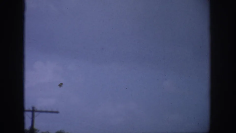 1959 Florida 8mm frame looking past a dark window edge toward cloudy sky, a small dark object, and a telephone pole.
