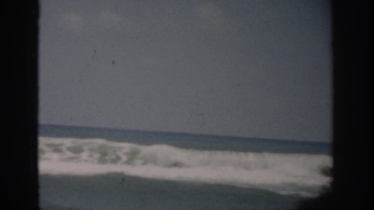 Breaking ocean wave with white foam behind dark vertical frame bars.