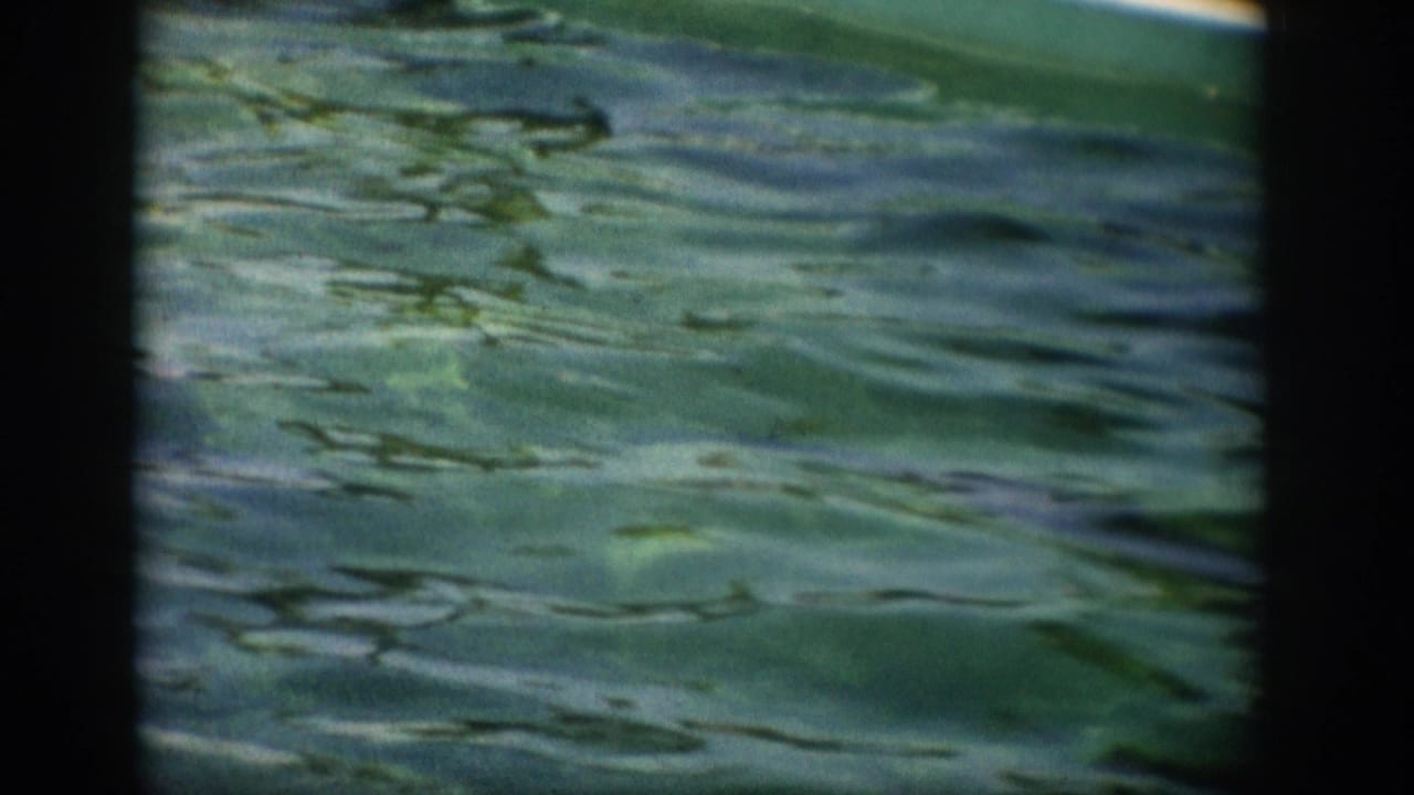 Green pool water with a pool edge and foliage visible behind it.