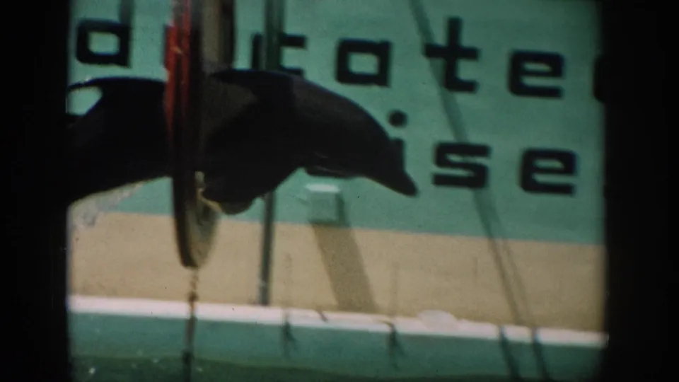 1959 Florida home-movie frame showing a dolphin near the pool wall, with partial background lettering and green water below.