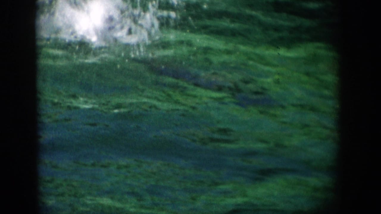 1959 Florida 8mm frame showing green-tinted pool water and a bright splash during a dolphin show.