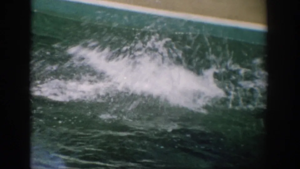 Water erupts across the aquarium pool after a dolphin movement in the short 1959 Florida home-movie clip.