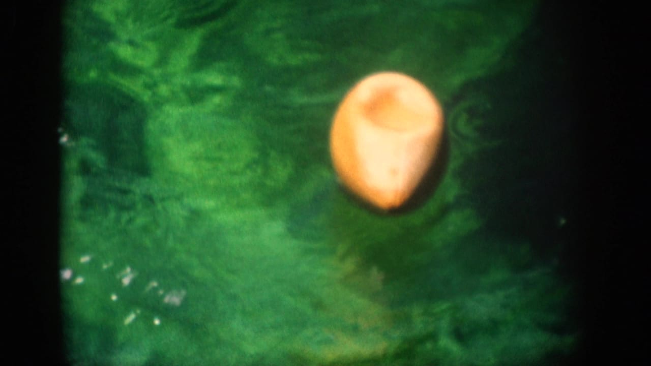 Tan football floating on green water with dark film-edge shadows.