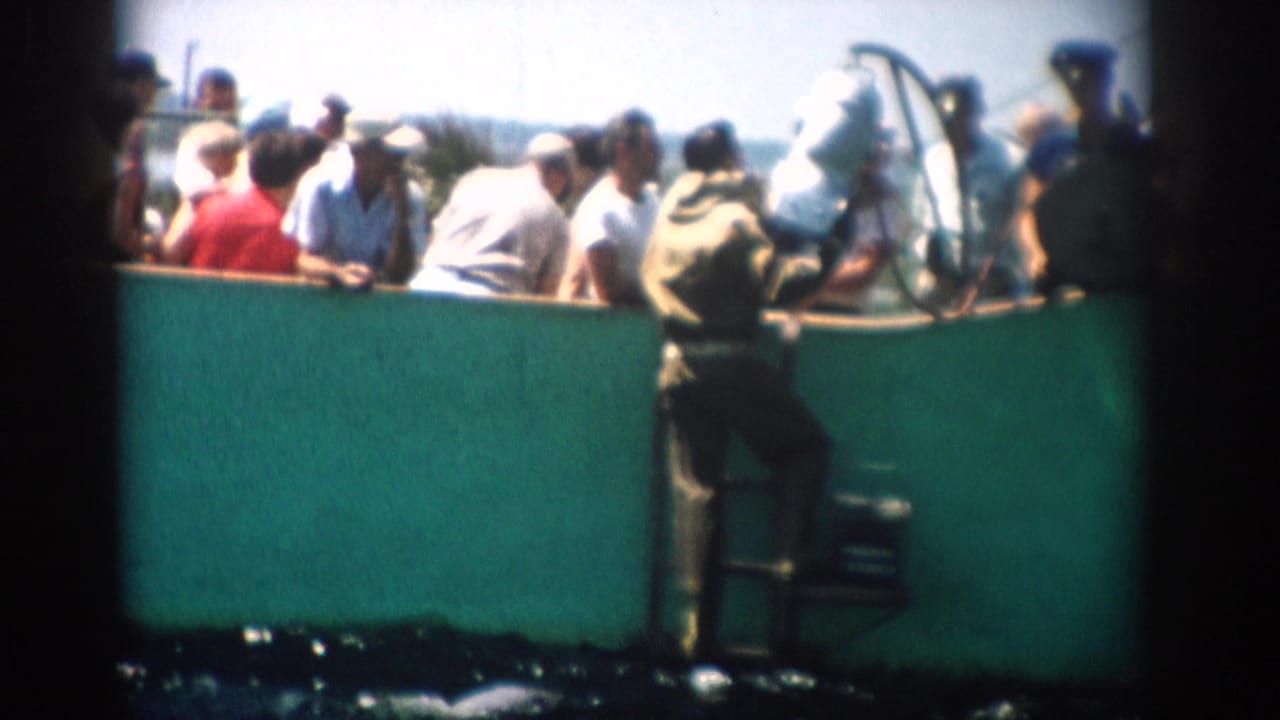 Spectators behind a teal pool wall as a trainer stands on a ladder.