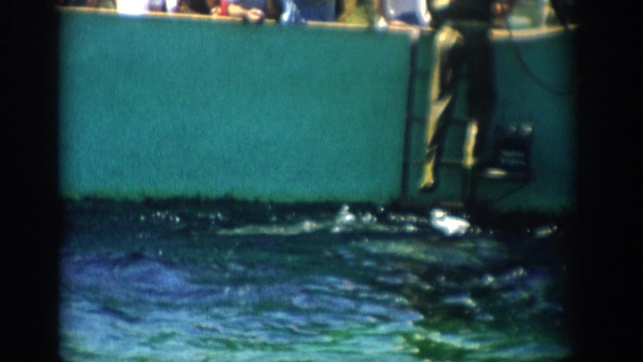 Man beside a ladder at a green-walled pool while water ripples in the foreground.