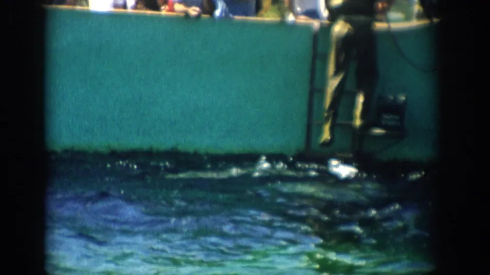 1959 Florida 8mm frame showing a man near a ladder at a green-walled animal exhibit pool with spectators partly visible above.