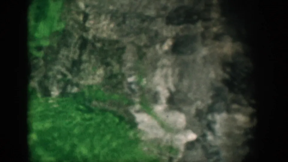 Soft, blurry underwater-looking 8mm frame with green plant matter and gray textured shapes from the 1959 Florida clip.