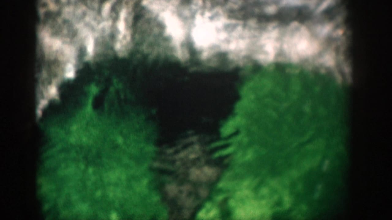 1959 Florida 8mm frame showing a dolphin partly obscured in green-tinted water near dark frame edges and a textured tank background.