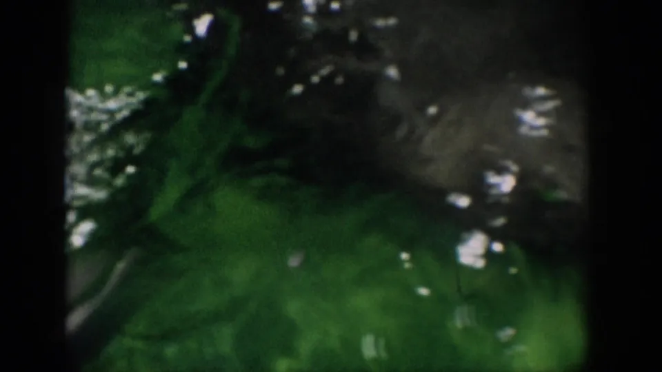 1959 Florida 8mm frame with part of a dolphin visible beneath rippling green water and scattered highlights.
