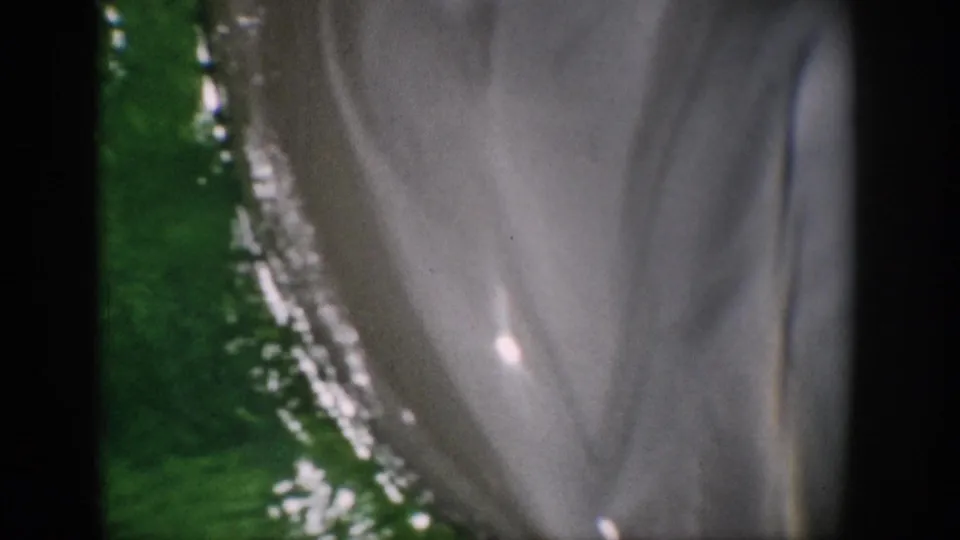 1959 Florida 8mm frame with the dolphin's head and upper body close to the camera in green-tinted water.