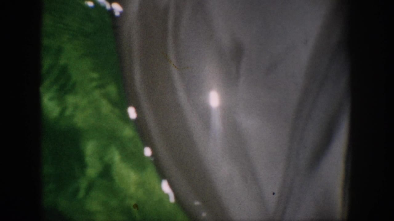 1959 Florida 8mm frame showing a close, soft-focused view of a gray dolphin body near green water.
