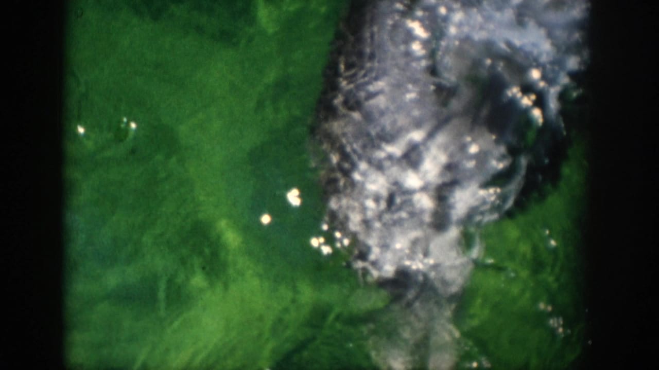 1959 Florida 8mm frame showing a gray dolphin surfacing in green water with bubbles, glare, and heavy film grain.