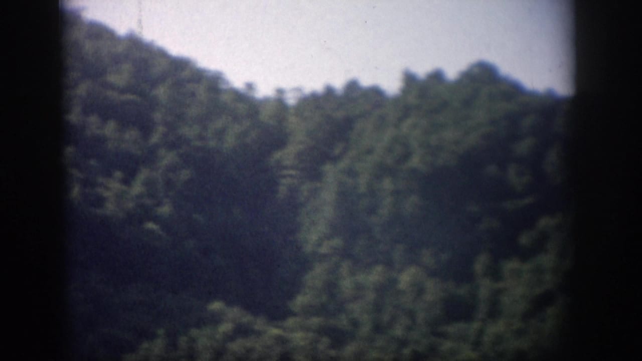 1959 Florida home-movie frame showing a distant forested hillside, pale sky, soft focus, and dark vertical film borders.