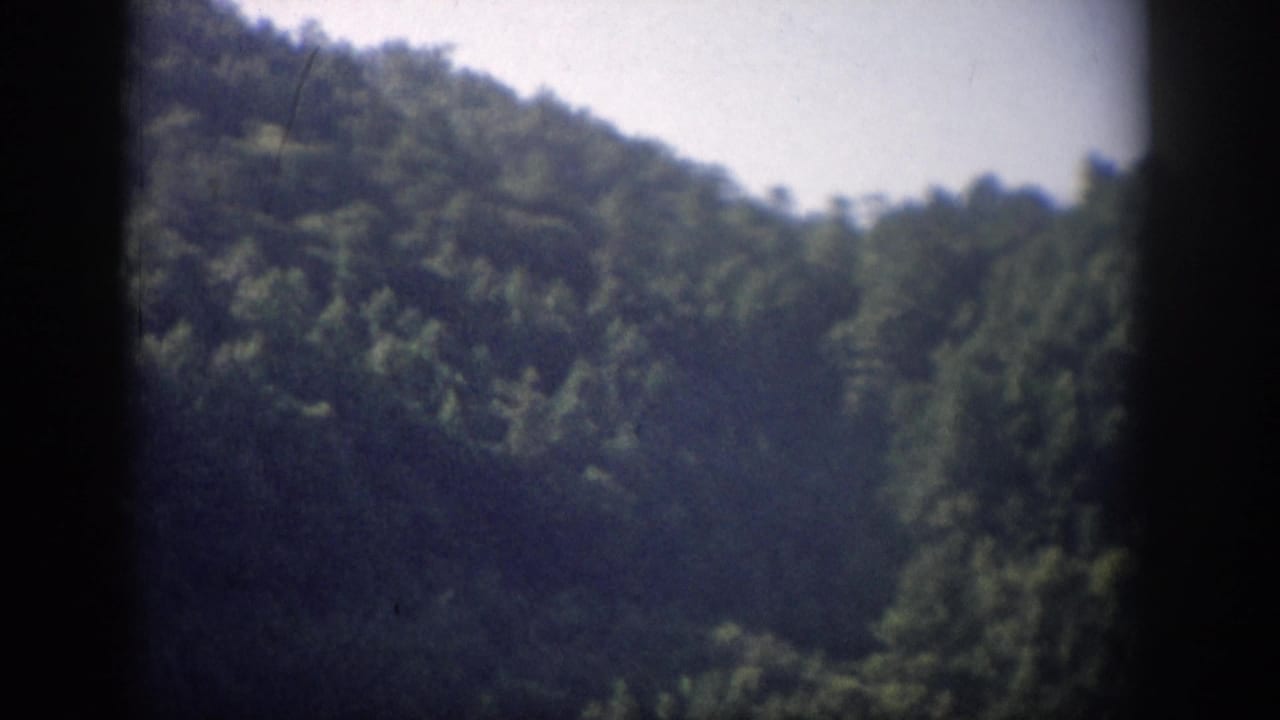 Forested ridge and pale sky with dark vertical framing at both sides.