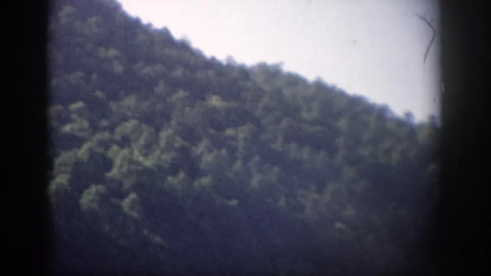 1959 Florida home-movie frame showing a soft, tree-covered hillside slope with pale sky and visible 8mm frame edges.