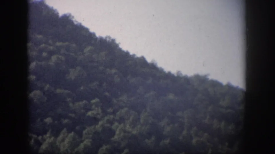 1959 Florida 8mm frame of a wooded hillside descending across the frame, bordered by dark gate edges and muted film color.