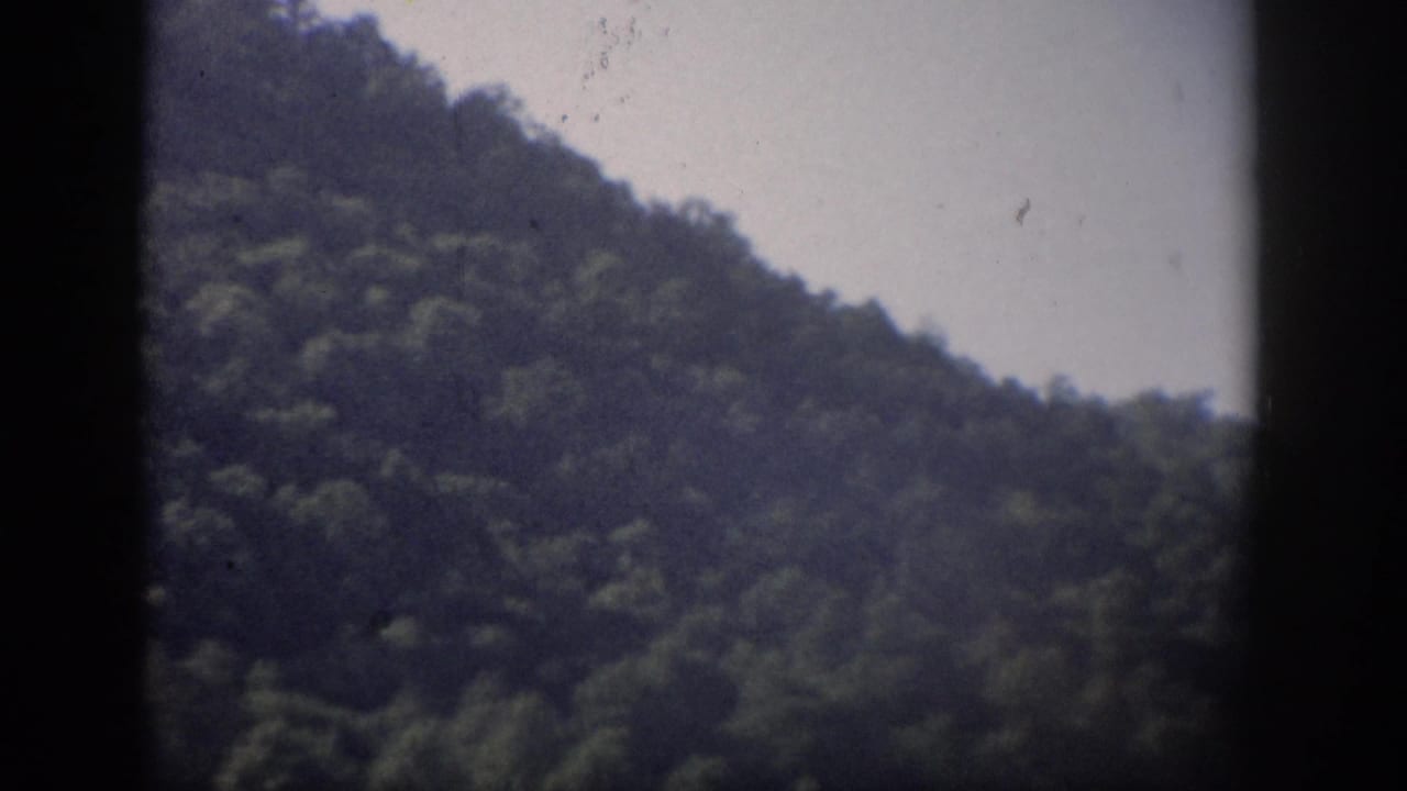 1959 8mm home-movie frame recorded as Florida, showing a wooded slope beneath pale sky with dark gate edges.