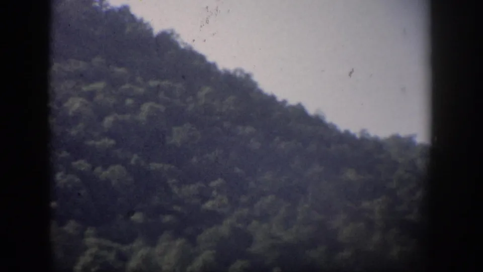1959 8mm home-movie frame recorded as Florida, showing a wooded slope beneath pale sky with dark gate edges.