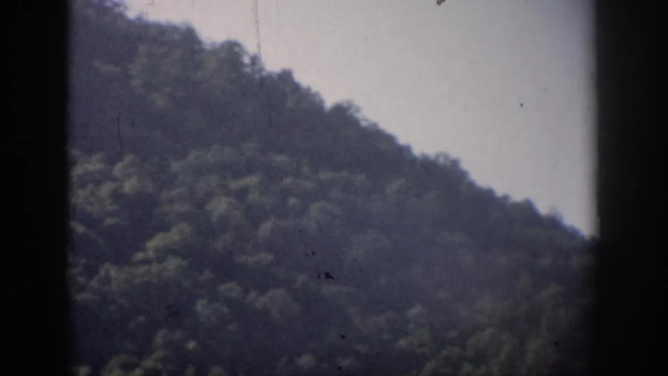 Vintage 8mm frame of a dense green hillside, recorded as Florida in 1959, with pale sky and visible film wear.