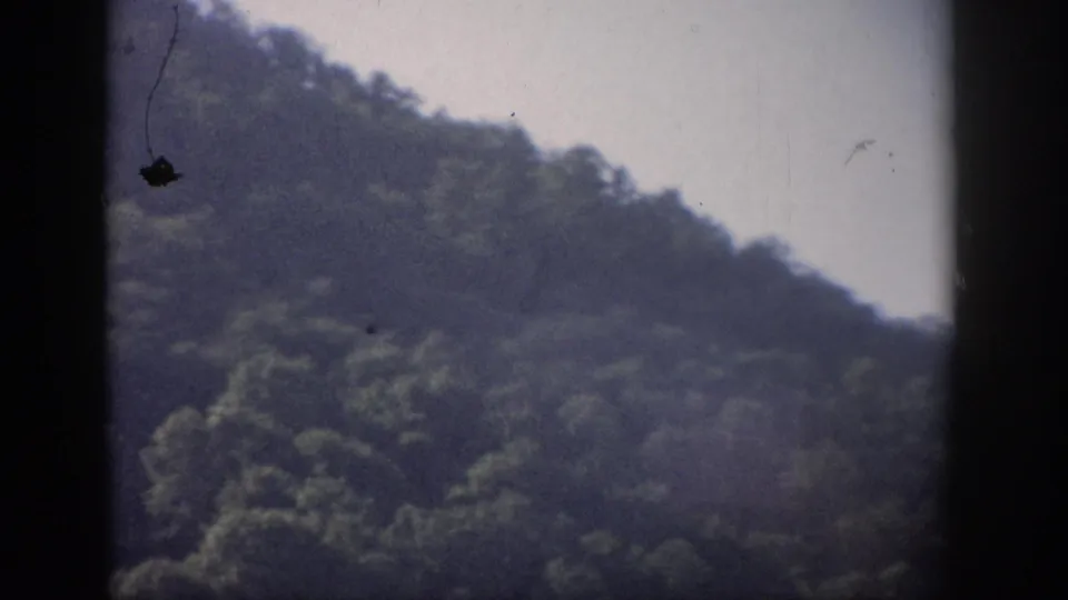 1959 archival home-movie frame showing a soft, grainy wooded ridge below a light sky, with dust and frame edges visible.