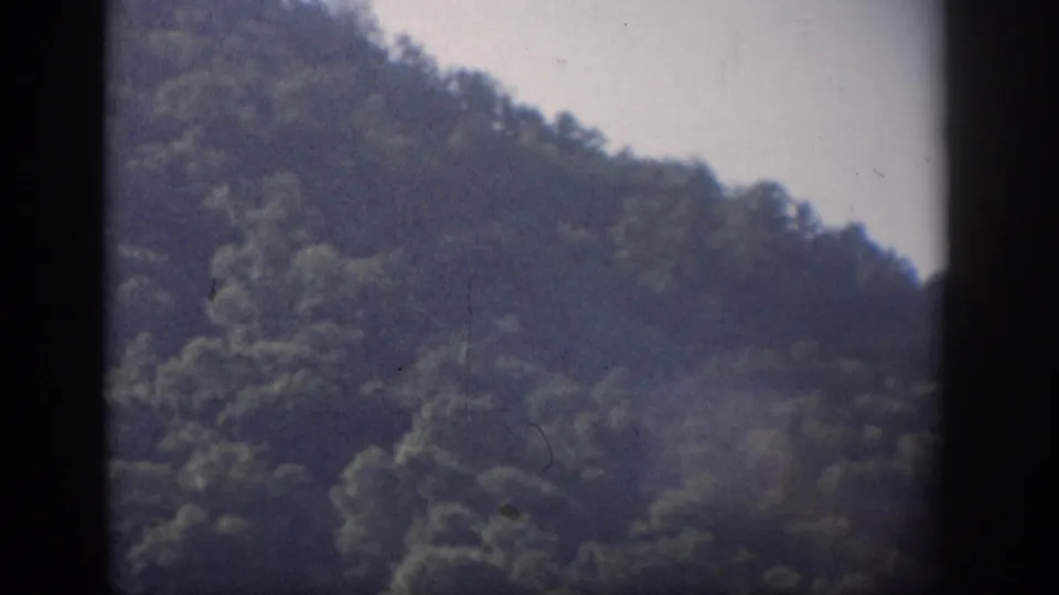 Aged 8mm home-movie frame from material recorded as Florida, showing a forested hillside with dark borders and muted color.