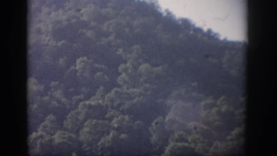 1959 Florida home-movie frame with a tree-covered hillside, pale sky, grain, and heavy dark edge framing.