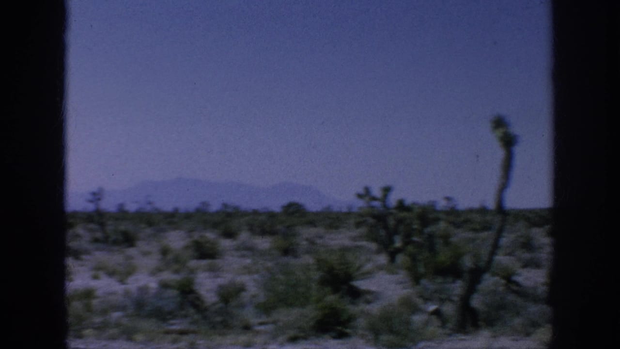 Desert scrub and cactus-like plants seen through dark vehicle window frames.