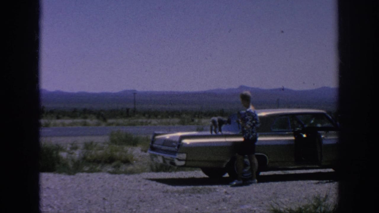 Man moves near the front of a parked sedan as a small dog stands on the hood.
