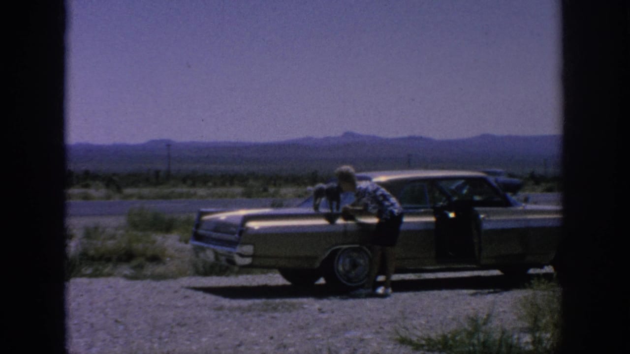 A woman attends to a small dog on the hood of a parked sedan, with open land and mountains in the background.