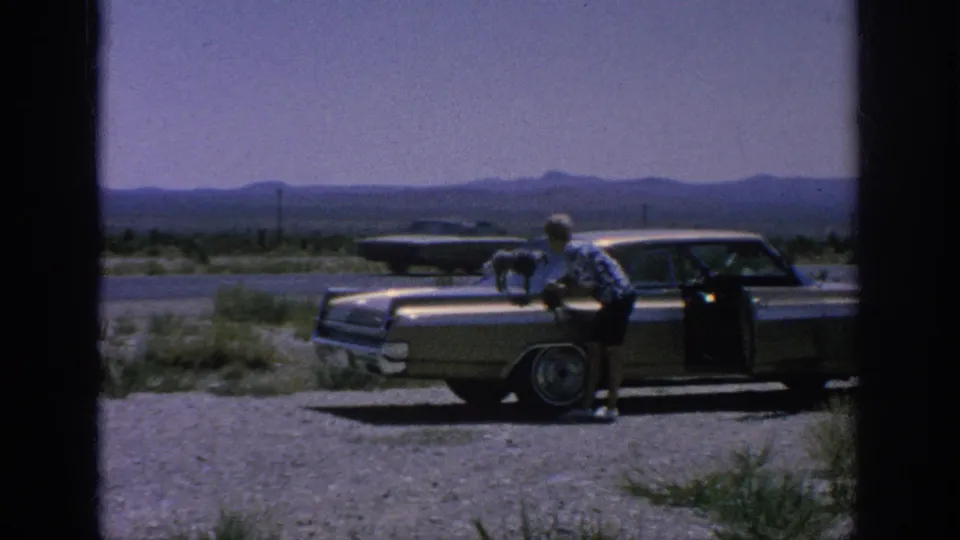 A passing car appears on the road behind the parked sedan as the woman stays near the dog on the hood.