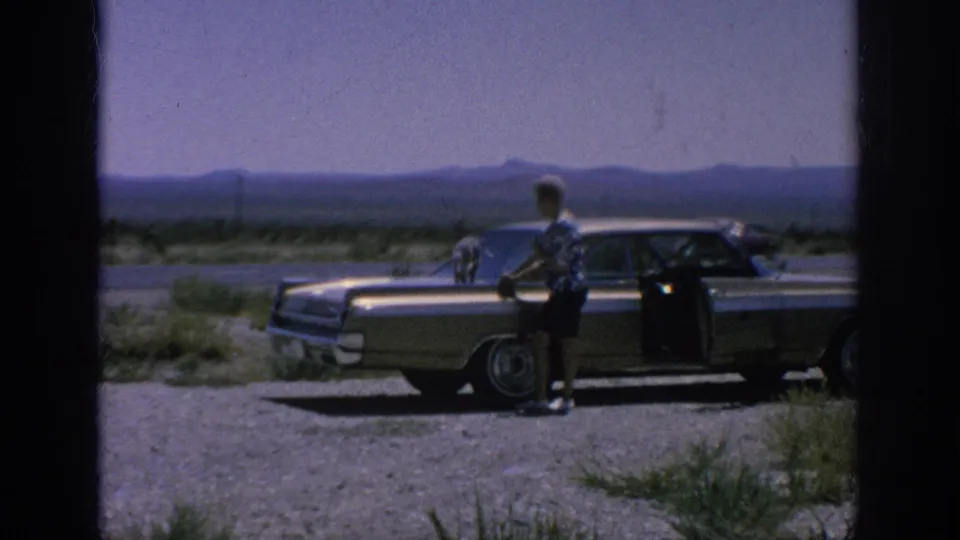 The woman stands beside the classic sedan while the small dog stays on the hood in the wide roadside setting.