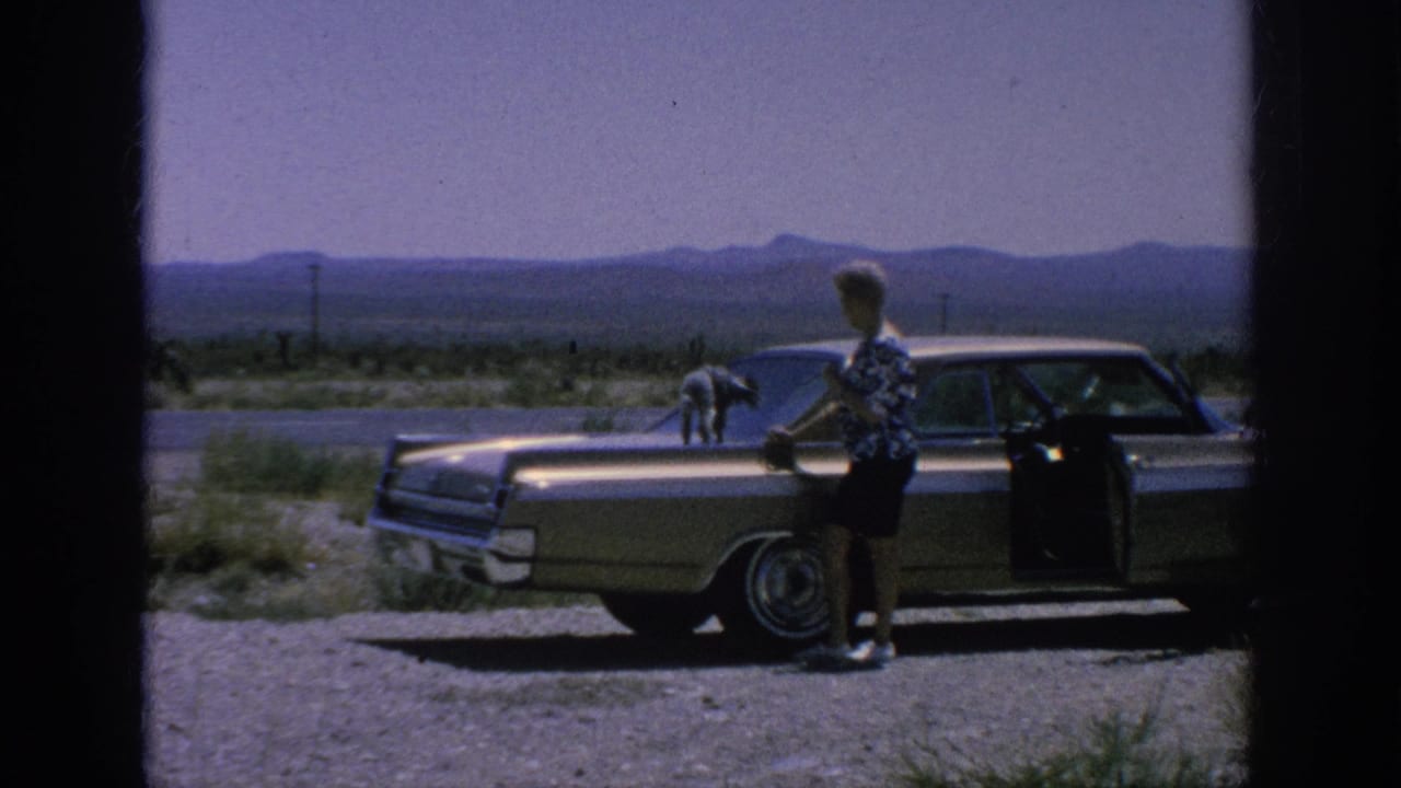 Woman stands beside a gold-toned sedan while a small poodle walks on the hood near a highway and distant mountains.