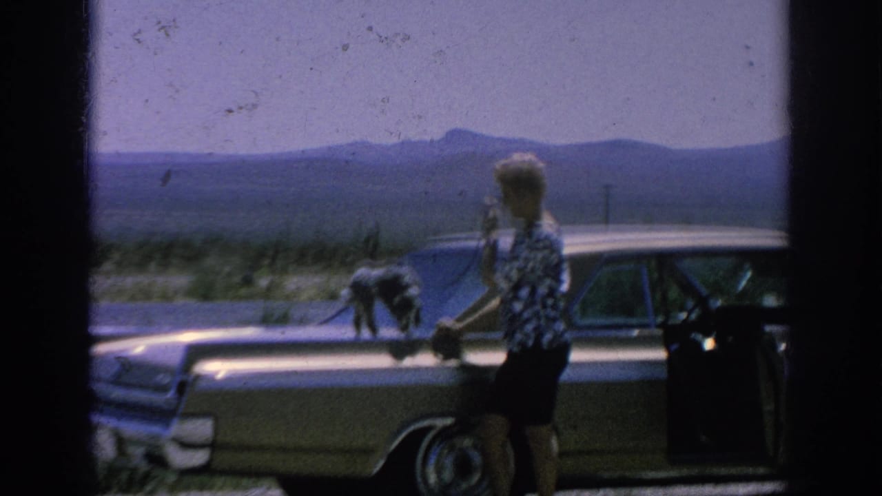 Woman holds a leash beside the sedan as the poodle walks across the hood with mountains in the background.